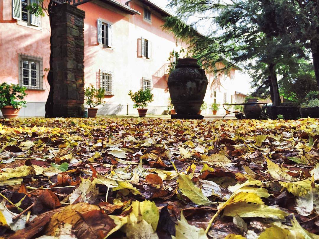 Villa Barberino è in simbiosi con il territorio che la circonda; in questi ultimi giorni di autunno ti accoglie con un tappeto rosso, giallo e arancio  •
•
•