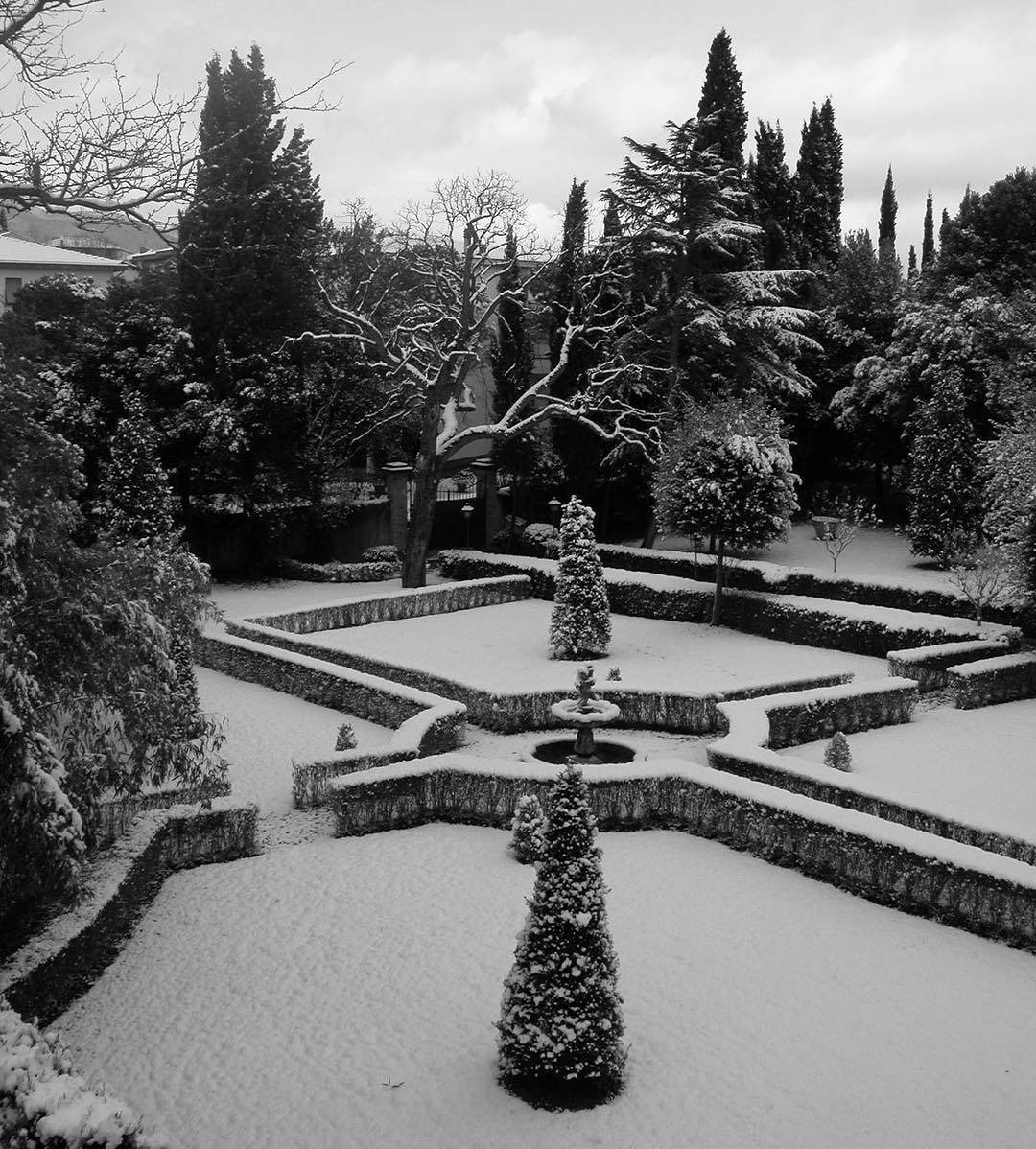 Buon solstizio d’Inverno ️ Riviviamo il giorno in cui i fiocchi di neve scelsero di vestire i nostri giardini di bianco ️ •
•
•